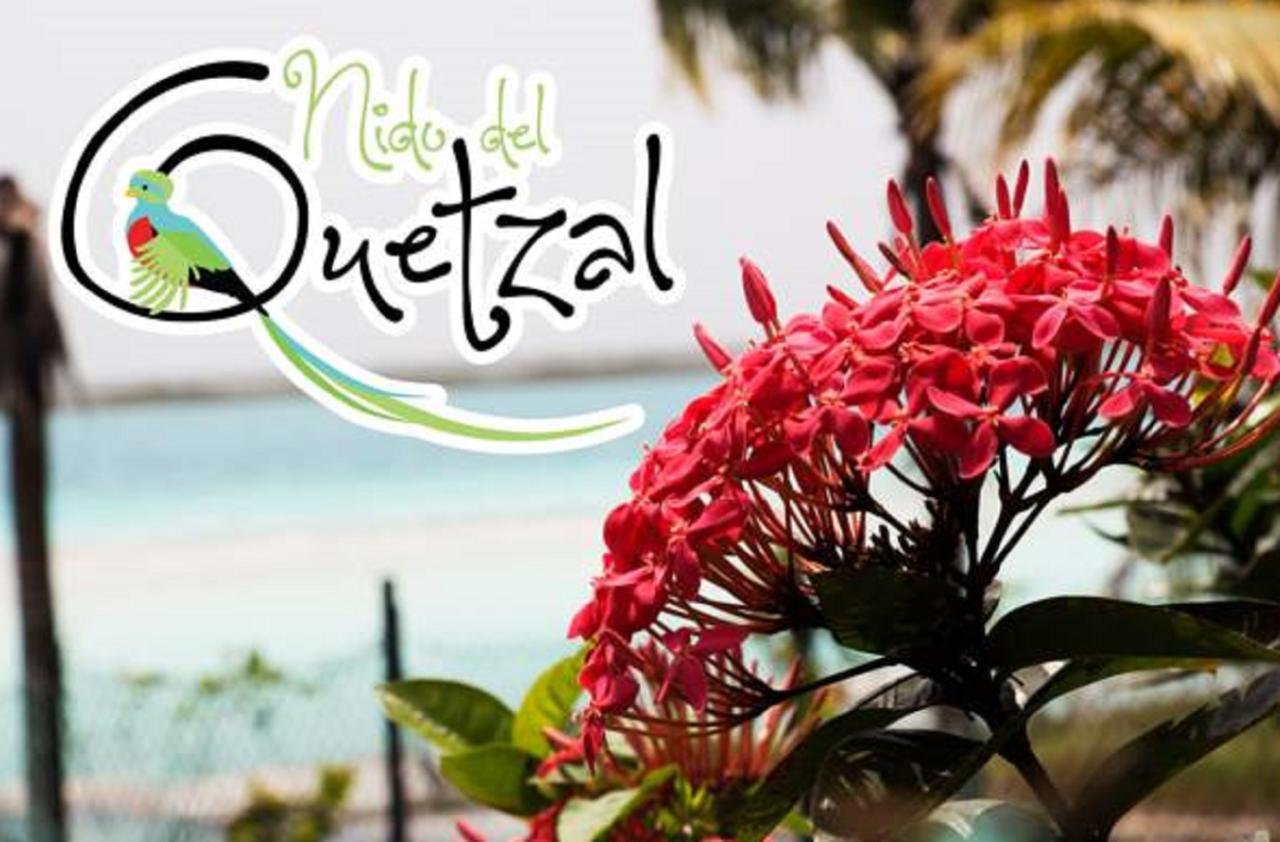 Nido Del Quetzal Hotel Bacalar Esterno foto